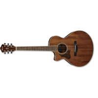 Ibanez AE245L-NT Acoustic-Elecric Guitar
