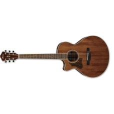 Ibanez AE245L-NT Acoustic-Elecric Guitar