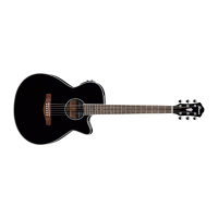 Ibanez AEG10II-BK Acoustic Guitar