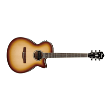 Ibanez AEG10II-NNB Acoustic Guitar