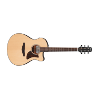 Ibanez AAM300CE-NT Acoustic Steel Guitar