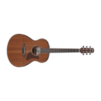 Ibanez AAM54-OPN Acoustic Steel Guitar 