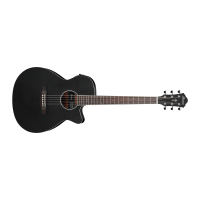 Ibanez AEG7MH-WK Acoustic Guitar