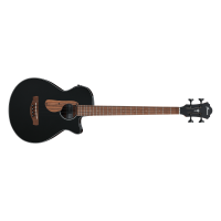 Ibanez AEGB24E-BKH Acoustic Bass