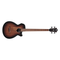 Ibanez AEGB24E-MHS Acoustic Bass